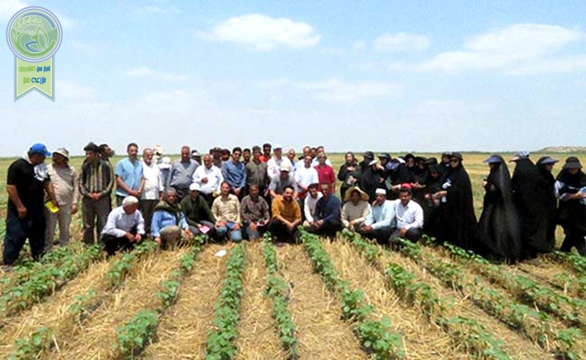 برگزاری کارگاه آموزشی کشاورزی حفاظتی برای کشاورزان اصفهانی

