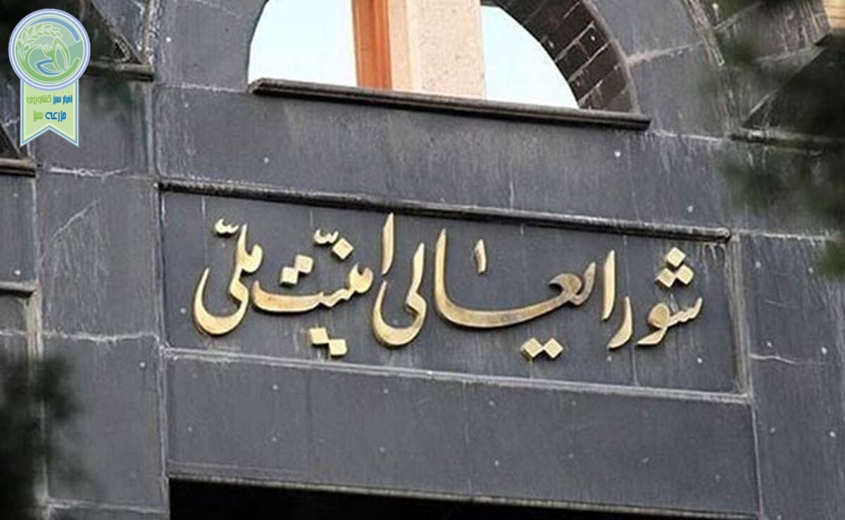 چرا «شعام» وارد ماجرای حجاب و عفاف شد؟

