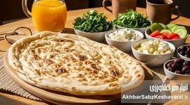 کبد چرب دارید؟ این نان‌ها را بخورید، این‌ها را نه!

