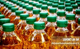 روغن کمیاب شد؛ قیمت روغن ۱۷ کیلویی چرا تا ۲ برابر جهش کرد؟