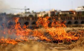 آتش‌سوزی گسترده در رودخانه زاینده‌رود+ ویدئو

