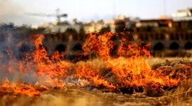 آتش‌سوزی گسترده در رودخانه زاینده‌رود+ ویدئو


