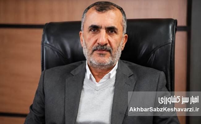 زنگ خطر برای جایگاه علمی ایران؛ ضرورت بازنگری در سیاست‌های کلان پژوهشی