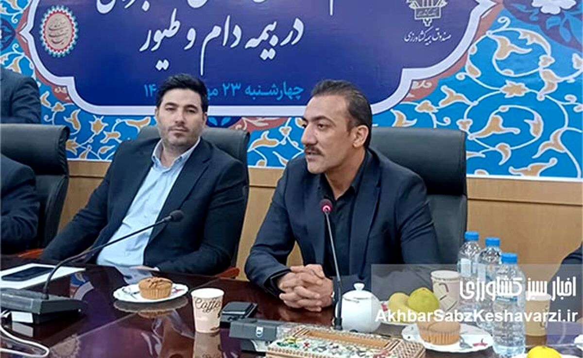 تحول در صنعت مرغ تخم‌گذار ایران؛ از وابستگی تا خودکفایی مالی با بیمه کشاورزی