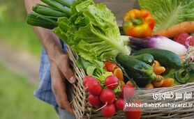 غذاهای فصلی: راز تقویت ایمنی بدن و تعادل در هر فصل | راهنمای تغذیه طبیعی