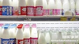 گرانی لبنیات از قبل هشدار داده شده بود؛ چه کسی پاسخگوست؟