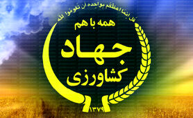 عذرخواهی رسمی معاون زراعت از خبرنگاران

