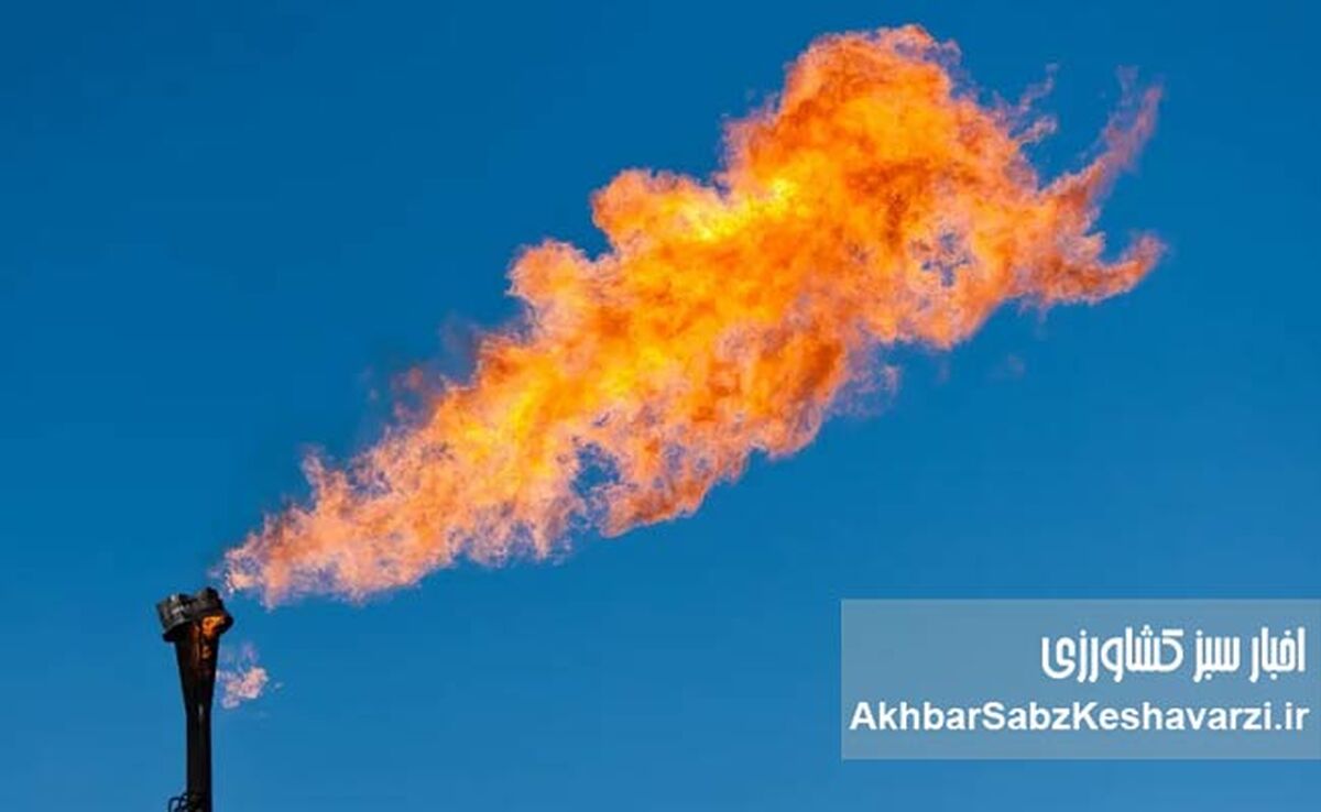 ۱۰ میلیارد دلار دود شد؛ چرا ایران ثروت ملی را در مشعل‌ها می‌سوزاند؟