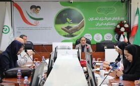 دعوت تعاون روستایی از صندوق‌های سرمایه‌گذاری به سرمایه‌گذاری در بازار زعفران

