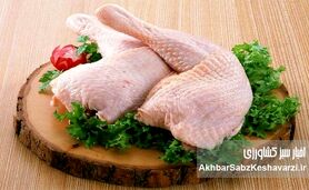 ۱۴۵هزار تومان هزینه تولید یک کیلو مرغ؛ هشدار جدی برای آینده بازار