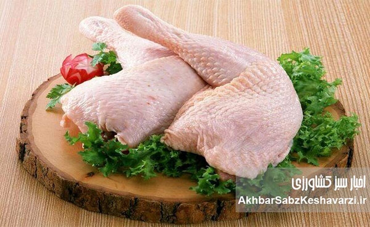 ۱۴۵هزار تومان هزینه تولید یک کیلو مرغ؛ هشدار جدی برای آینده بازار