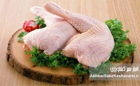 ۱۴۵هزار تومان هزینه تولید یک کیلو مرغ؛ هشدار جدی برای آینده بازار