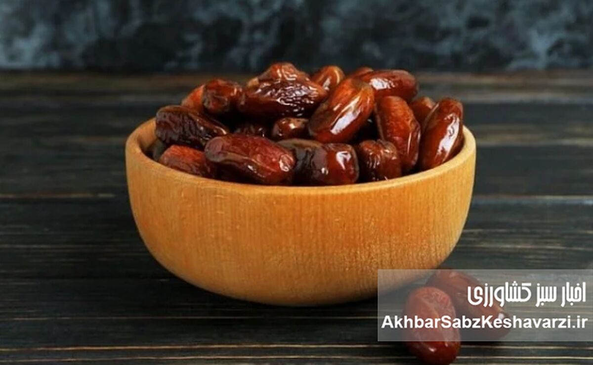 کاهش ۳۰ درصدی تولید و قیمت‌گذاری دولتی، خرما را گران کرد