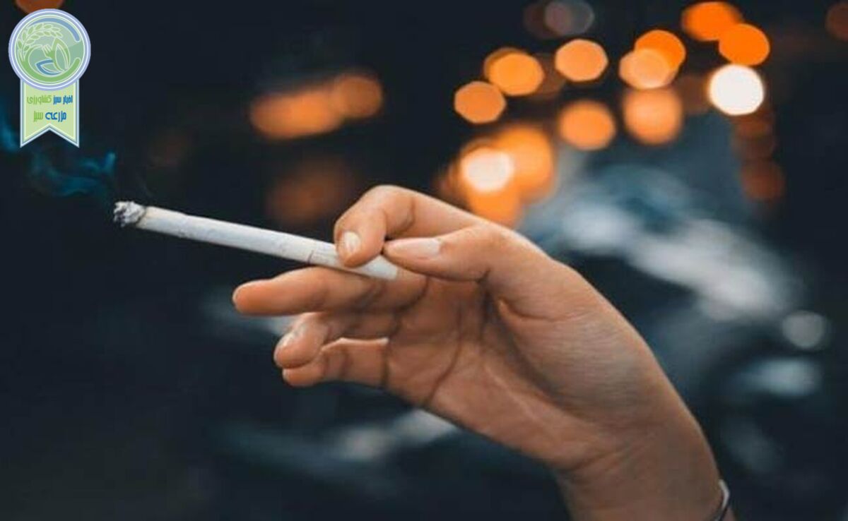 ۱۹ درصد نوجوانان ایرانی سیگاری‌های فعال هستند

