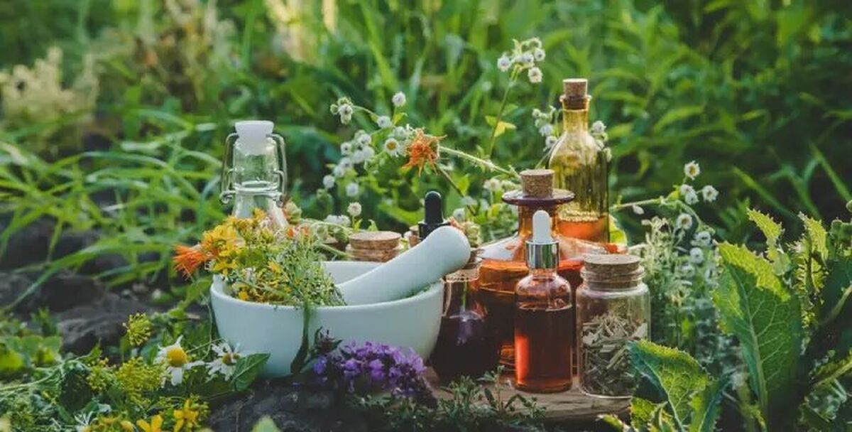 تنوع گیاهی ایران پیشران صادرات محصولات ارگانیک در خاورمیانه