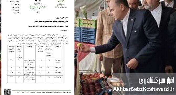 هدیه ۵۰ درصدی وزارت جهاد کشاورزی به صادرکنندگان؛ چراغ سبز به فرار ارزی؟+نامه