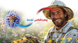 چهره‌شناسی توسط زنبورعسل