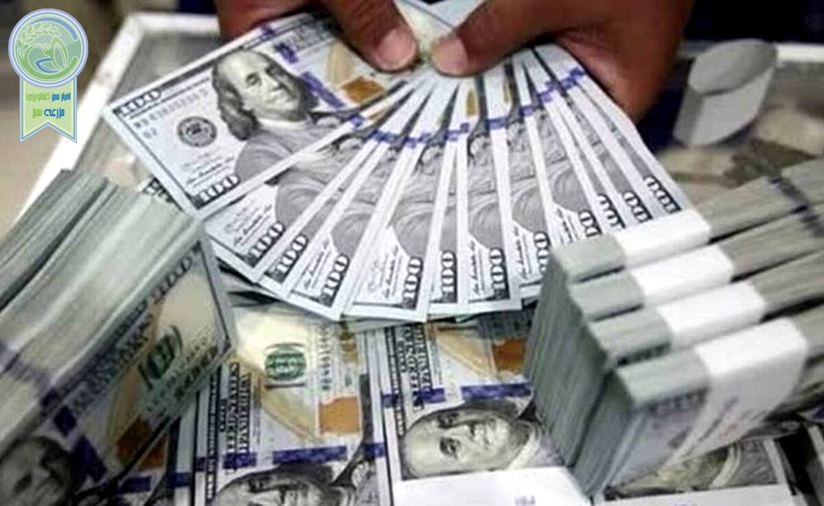 قیمت دلار و یورو امروز چهارشنبه ۲۶ اردیبهشت ۱۴۰۳+ جدول

