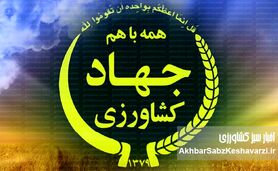 انحرافات ارزی در جهاد کشاورزی: وقتی پای نهاده‌های دامی در میان است!