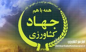 انحرافات ارزی در جهاد کشاورزی: وقتی پای نهاده‌های دامی در میان است!