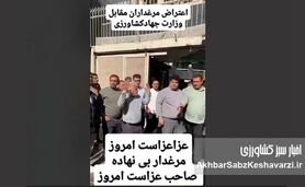 فریاد مرغداران بی‌نهاده؛ روز عزای صنعت طیور ایران+ ویدئو