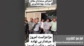 فریاد مرغداران بی‌نهاده؛ روز عزای صنعت طیور ایران+ ویدئو