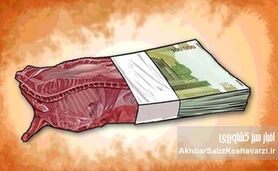 چرا گوشت ۶۰۰ هزار تومانی، جایگزین یارانه ای شد؟