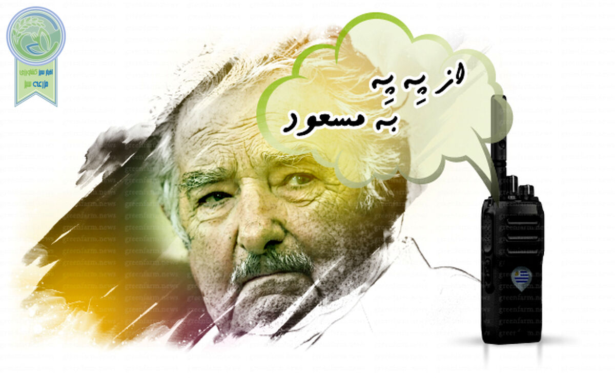 From PEPE to MASOUD