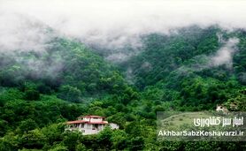 زیبایی شمال ایران در یک کلیپ تصویری: روایتی از زندگی و موسیقی محلی

