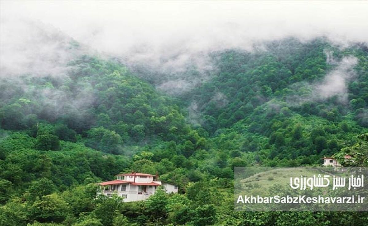 زیبایی شمال ایران در یک کلیپ تصویری: روایتی از زندگی و موسیقی محلی
