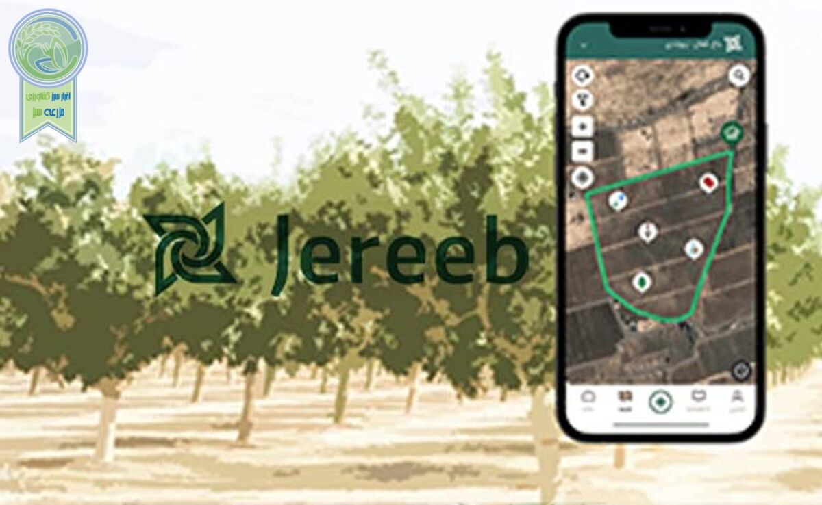 تاثیر محاسبه مساحت تاج درخت در سلامت و سودآوری باغات+ تصویر

