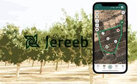 تاثیر محاسبه مساحت تاج درخت در سلامت و سودآوری باغات+ تصویر

