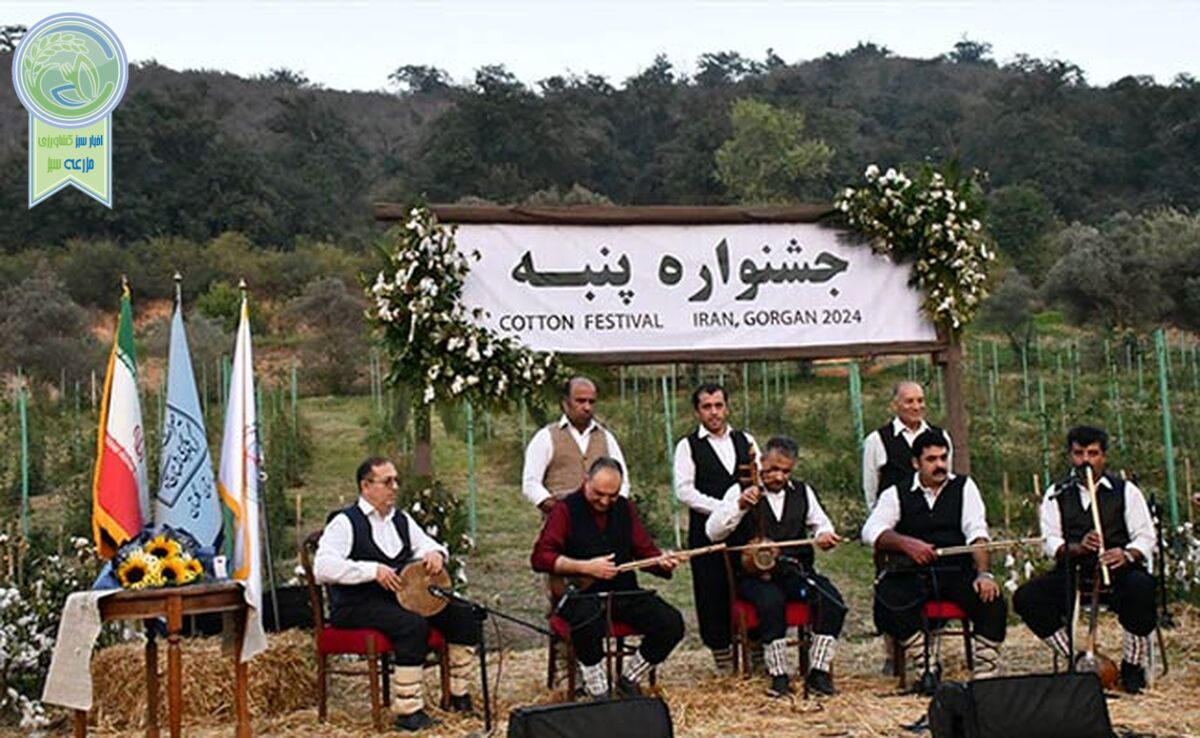 برپایی جشنواره پنبه در سرزمین طلای سفید+ عکس

