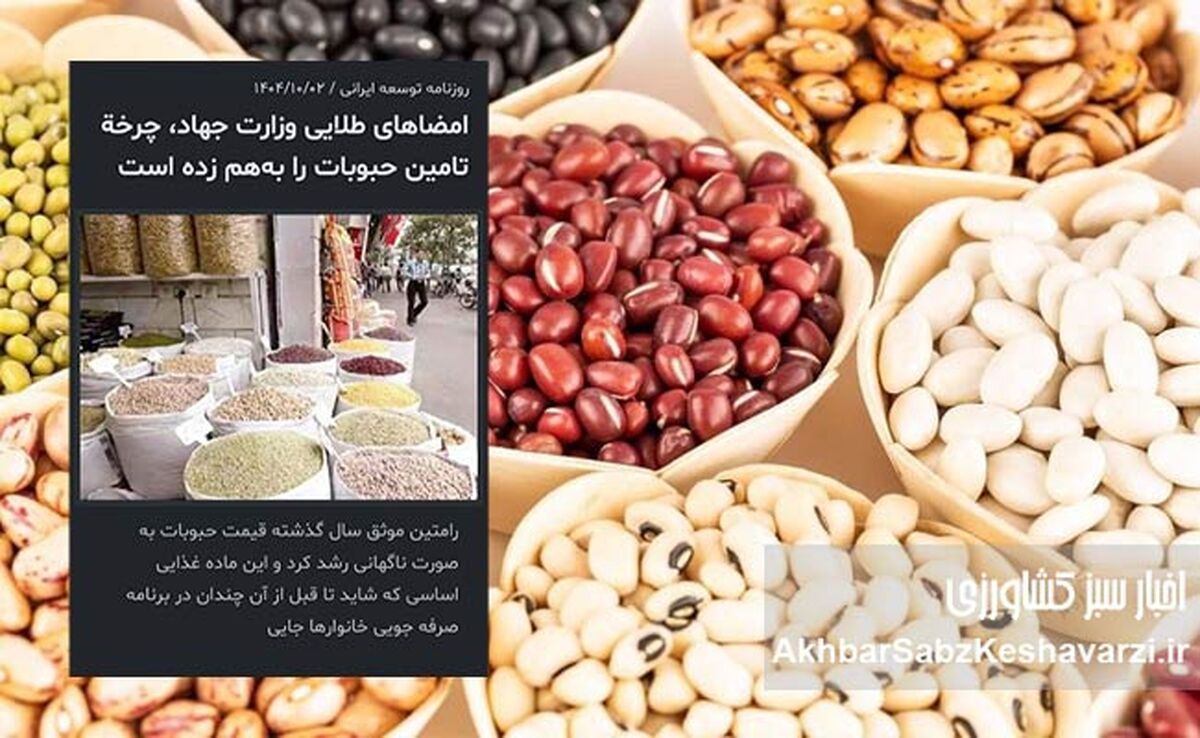 امضاهای طلایی وزارت جهاد چگونه حبوبات را از سفره مردم حذف کرد؟ / روایتی از نابسامانی واردات و گرانی افسارگسیخته