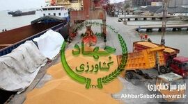 محکومیت مدیرعامل شرکت دولتی واردکننده نهاده؛ وقتی گره گرانی نه «بی‌ارزی» که سوءمدیریت بود+نامه