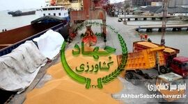 محکومیت مدیرعامل شرکت دولتی واردکننده نهاده؛ وقتی گره گرانی نه «بی‌ارزی» که سوءمدیریت بود+نامه