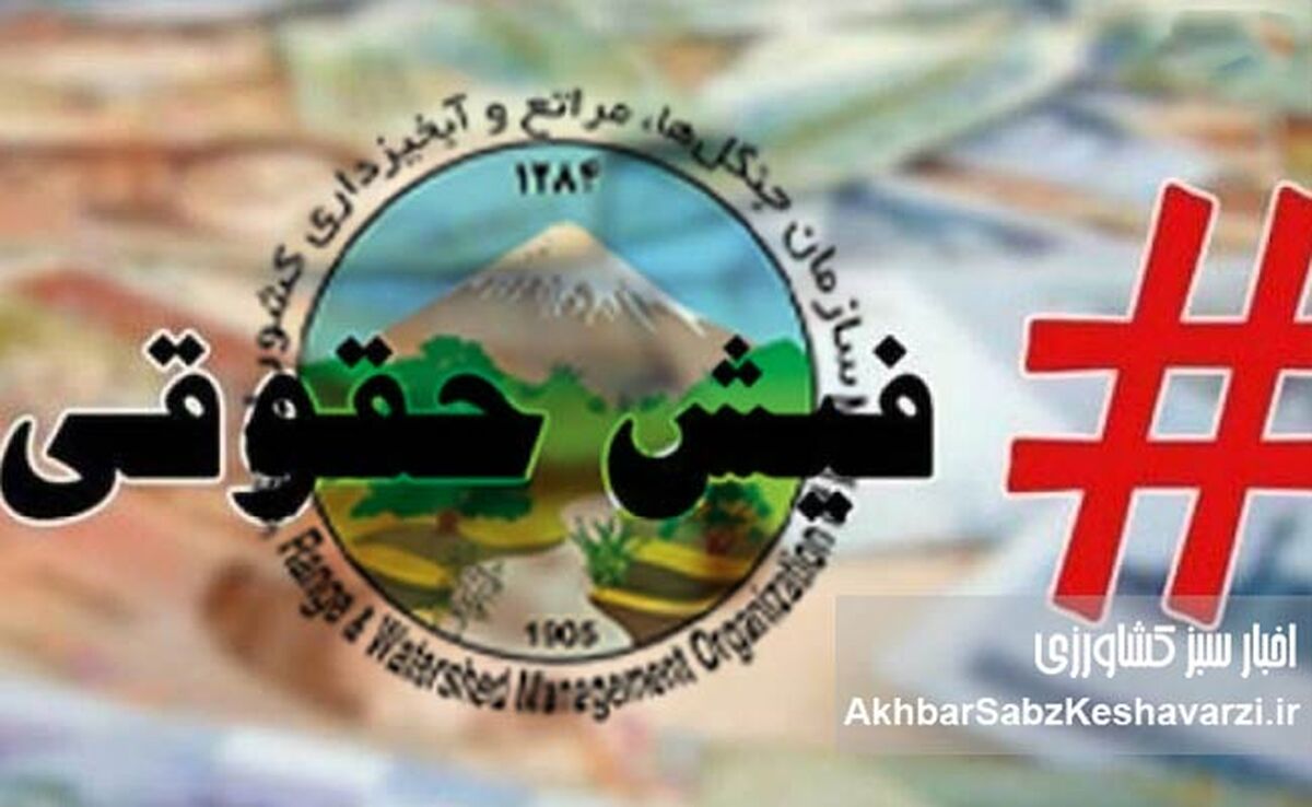 حقوق‌های نجومی در منابع طبیعی: فریاد یک استاد و سکوت درباره درد جنگلبانان