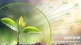 عناصر ضروری مورد نیاز گیاهان