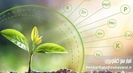 عناصر ضروری مورد نیاز گیاهان