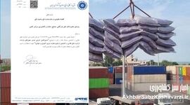 صدور مجوز واردات مرزی مواد غذایی؛ دستورالعمل جدید چه می‌گوید؟
