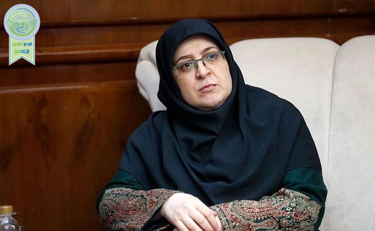 انتصاب یک زن به سمت سخنگوی دولت پزشکیان/ «فاطمه مهاجرانی» کیست؟

