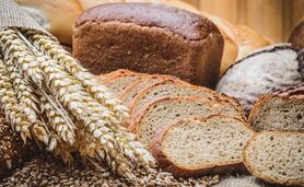 نیاز یک سال آینده کشور به گندم نان تامین شد

