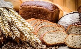 نیاز یک سال آینده کشور به گندم نان تامین شد

