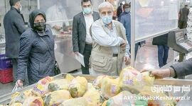 مرغ ۵۲ درصد و لبنیات ۸۵ درصد گران شد؛ ارز ترجیحی چرا شکست خورد؟