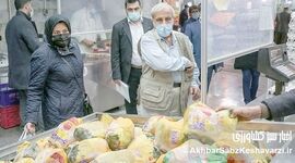 افزایش قیمت مرغ در راه است؟ هشدار تولیدکنندگان درباره آینده بازار