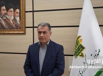 بیمه فراگیر ۱۷ محصول کشاورزی؛ عزم ملی برای تضمین امنیت غذایی
