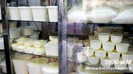 قاتل خاموش در یخچال شما: خطر لبنیات فله‌ای برای زنان باردار چیست؟
