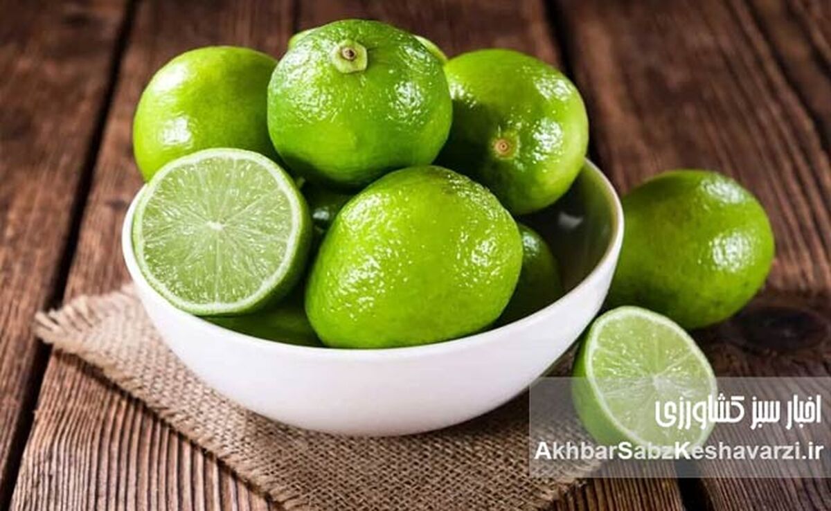 لیموترش: داروخانه‌ای در خانه شما