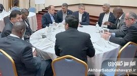 کیمیای سبز رفسنجان در قلب همکاری‌های ایران و کنیا: دیداری با وزیران و سفیر