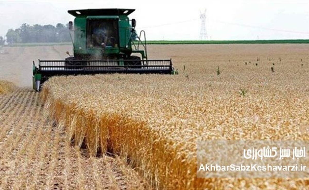 پزشکیان از اصلاح تاریخی قیمت خرید تضمینی گندم خبر داد